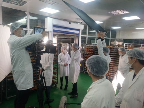 乌鲁木齐短片拍摄公司 专业影像服务与商务秘书支持的卓越优势